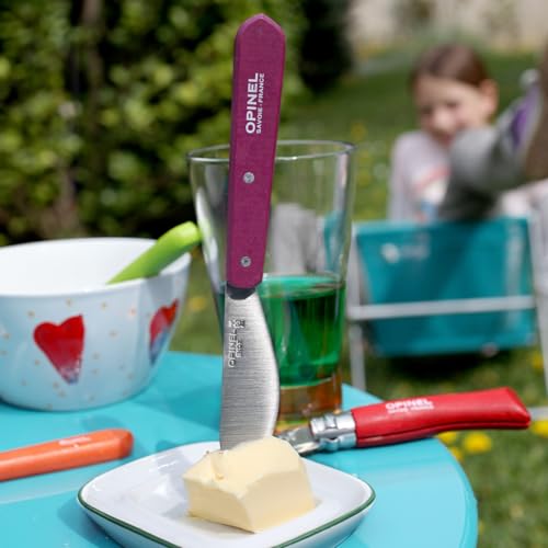 Coltello per Spalmare Opinel – Azzurro - immagine 4